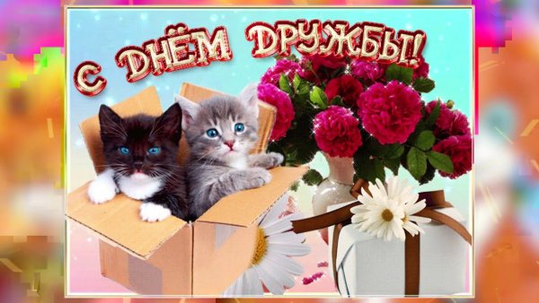 30 Июля день дружбы котики