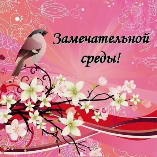 Замечательной среды