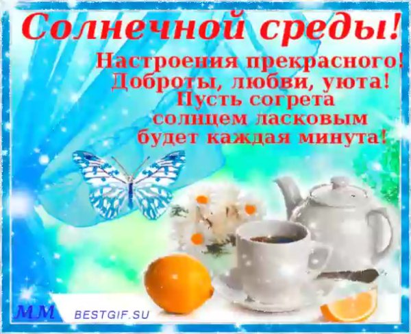 Замечательной среды