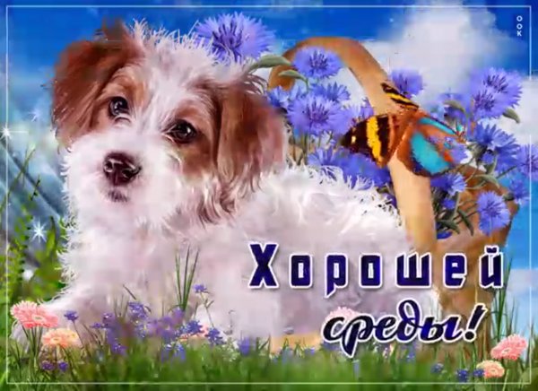 Доброе утро среда