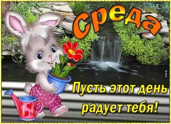 Поздравления со средой в картинках прикольные