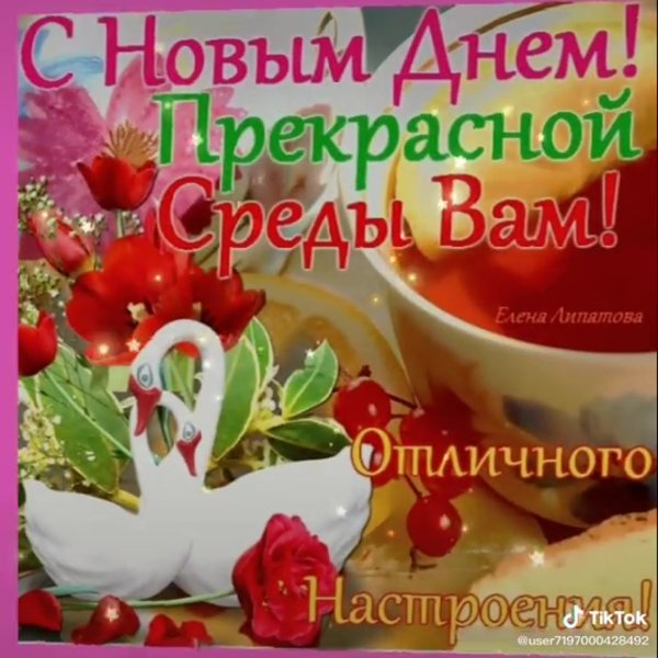 Открытки весёлой среды