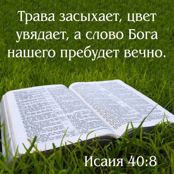 Цитаты из Библии в картинках