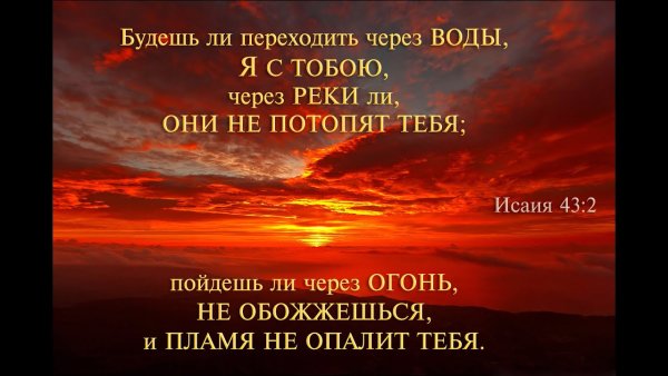 Цитаты из Библии