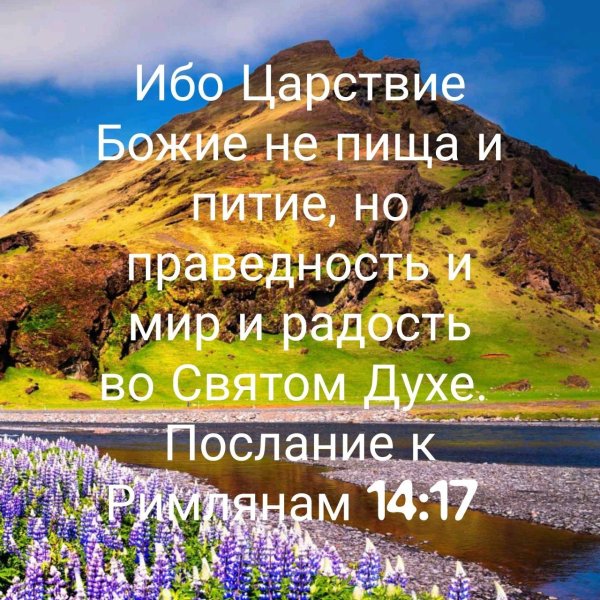 Стихи из Библии