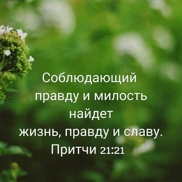 Христианские цитаты из Библии