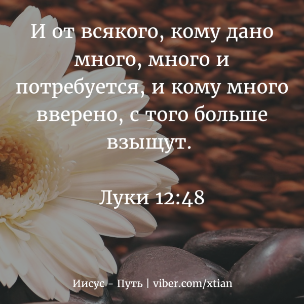Стихи и цитаты из Библии