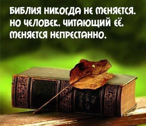 Мудрые изречения из Библии