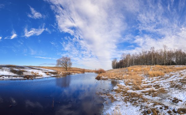 С днем теплого Алексея поздравления