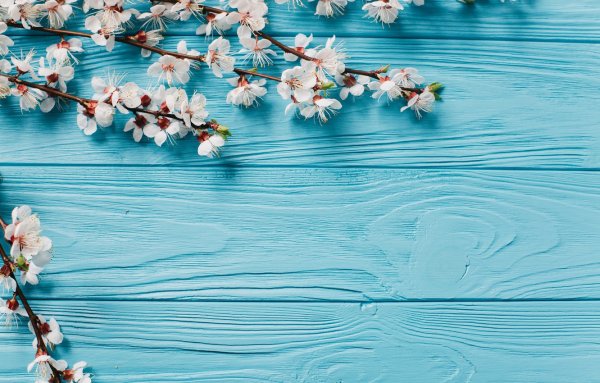 Икона Алексей Божий