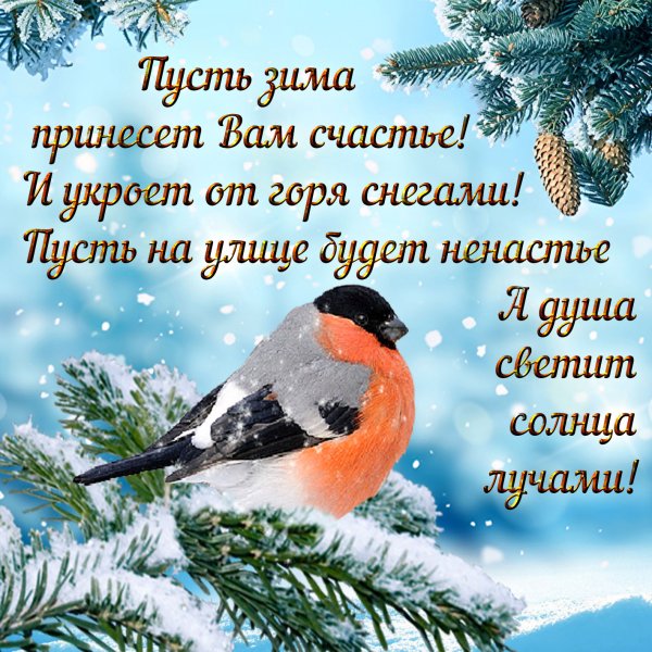 Зимние открытки с пожеланиями