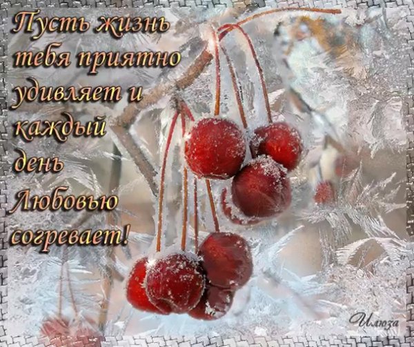 Здоровья и хорошего зимнего настроения