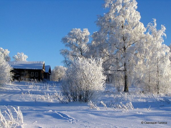 С добрым утром зима