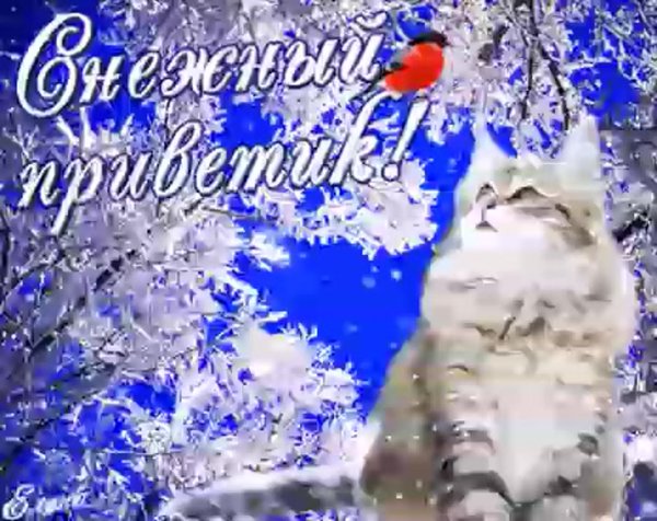 Хорошего зимнего дня