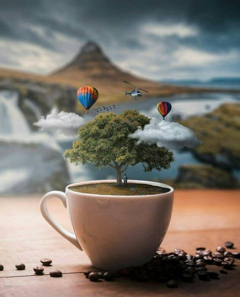 Креативное утро