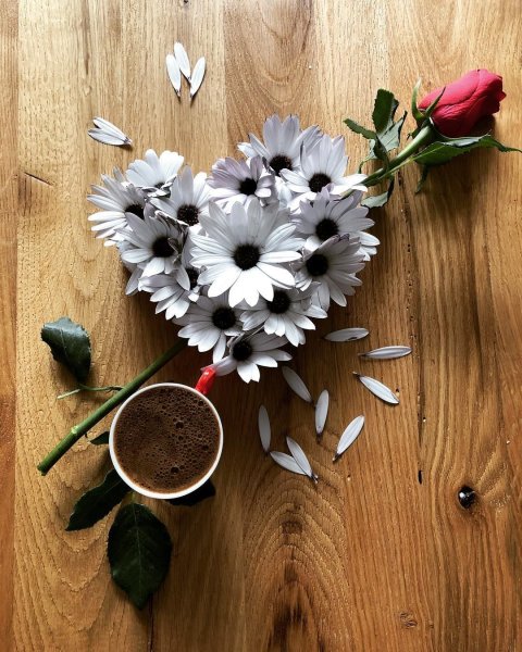 Ромашки и кофе