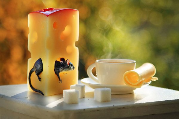 Необычное утро