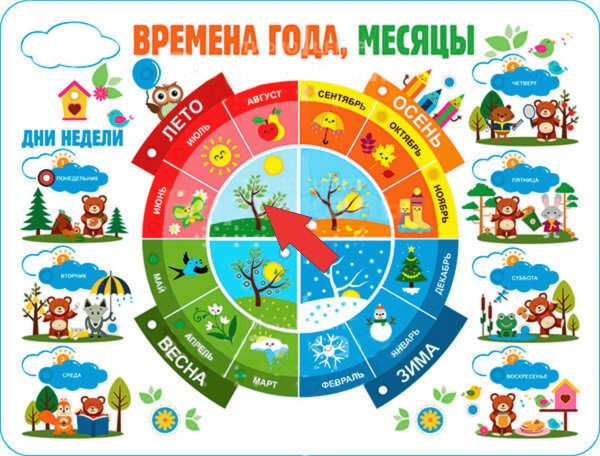 Месяцы для дошкольников