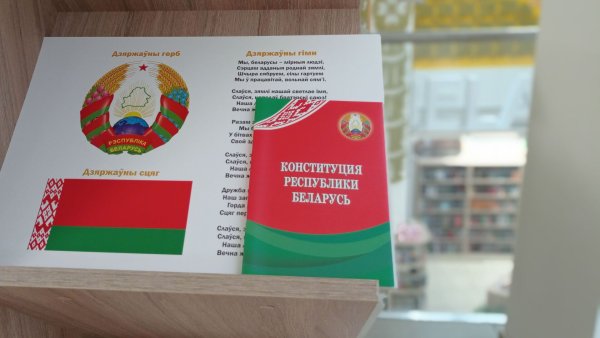 Конституция Беларуси проект