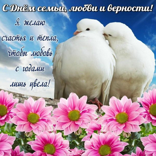 День семьи любви и верности