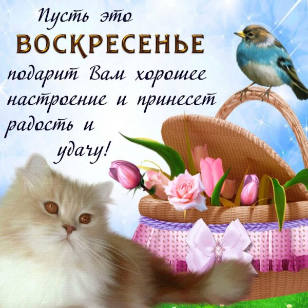 Пожелания на воскресенье