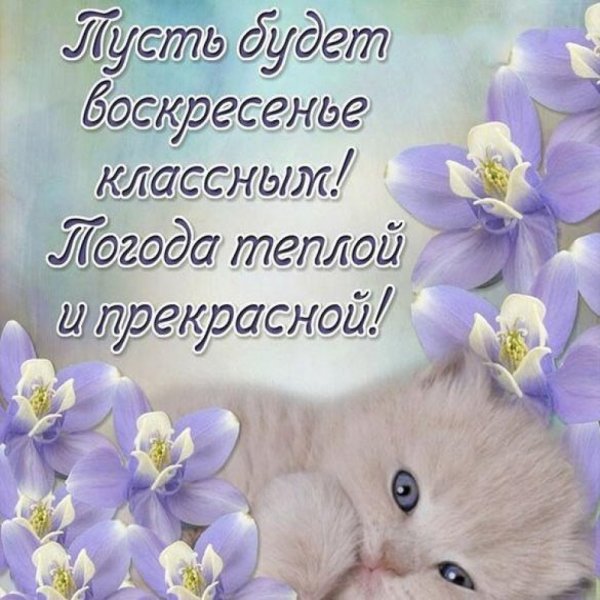 Поздравление с воскресеньем