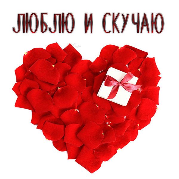 Любовные картинки для девушки с надписями