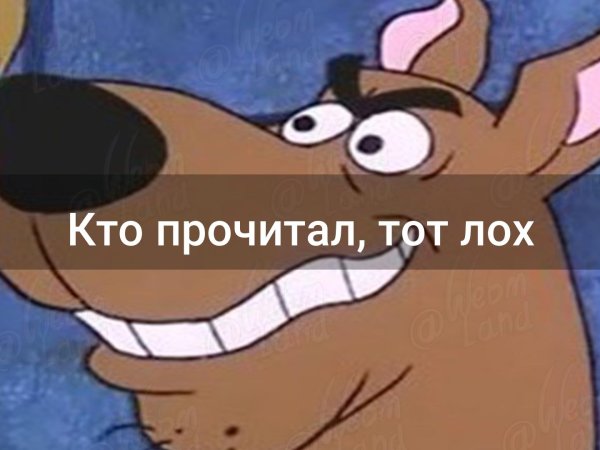 Кто прочитал у того
