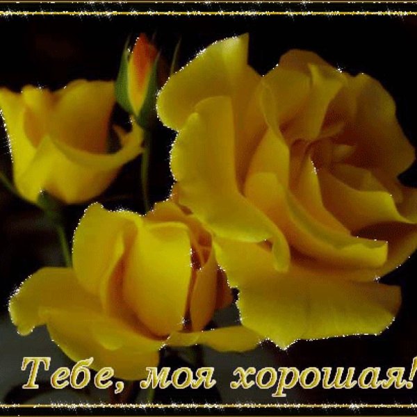 Открытка тебе моя хорошая