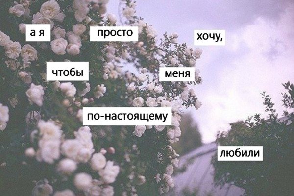 Я так счастлива цитаты