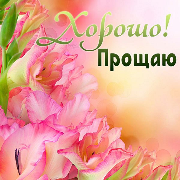 Хорошо прощаю