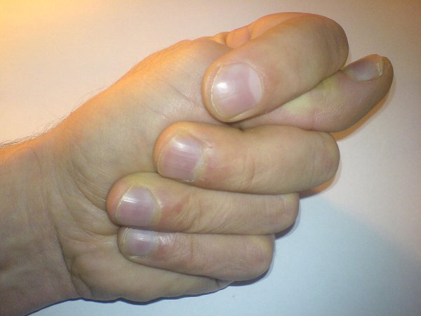 Кукиш Дуля фига шиш