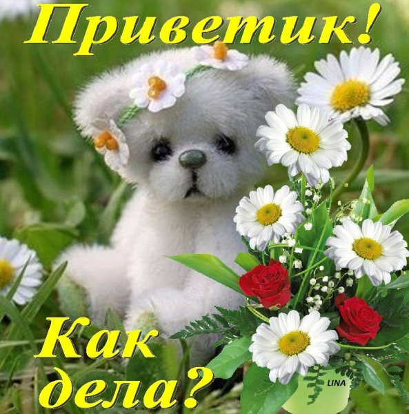Открытки как дела