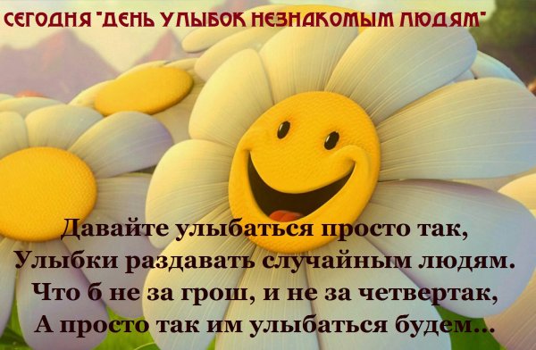 Ромашка улыбается