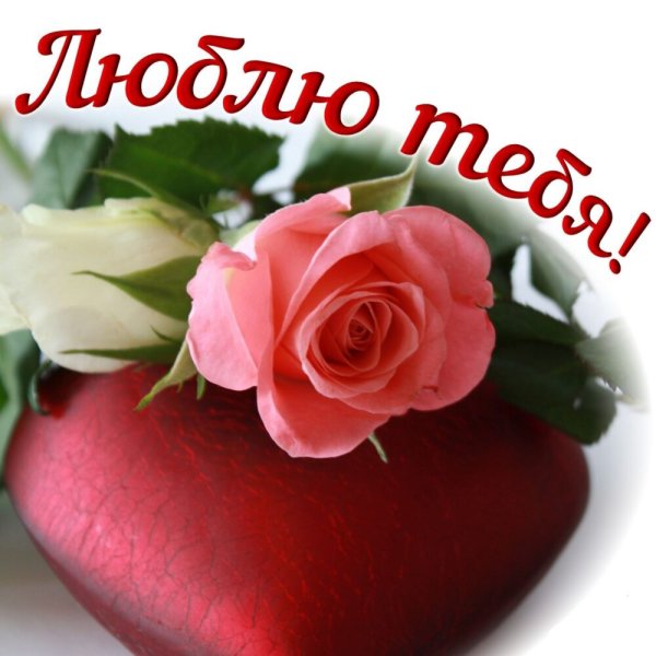 Розы для любимой