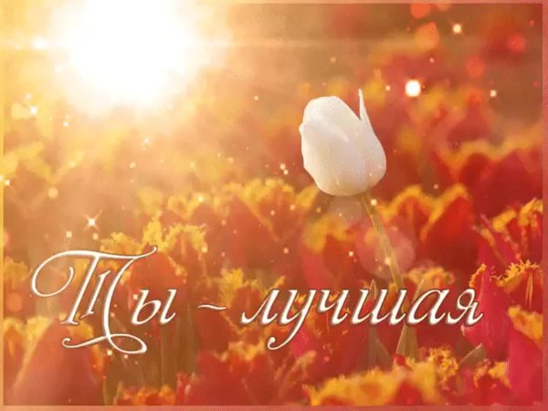 Самая нежная