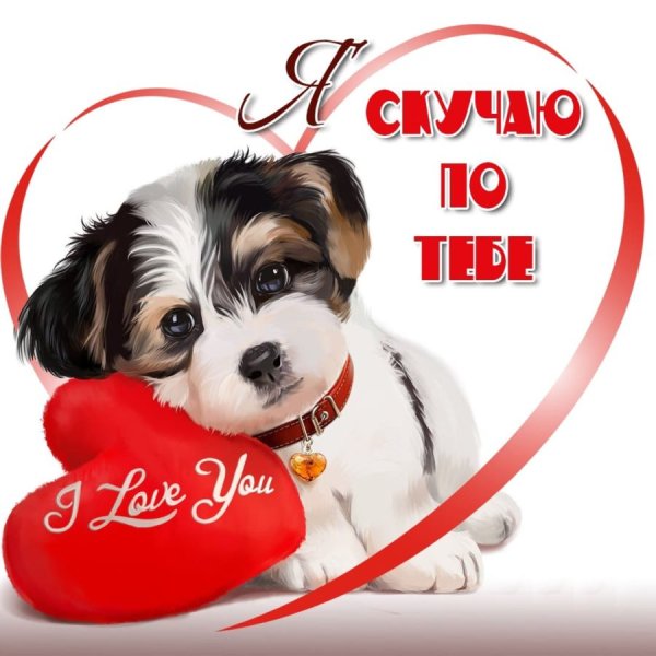 Я люблю себя