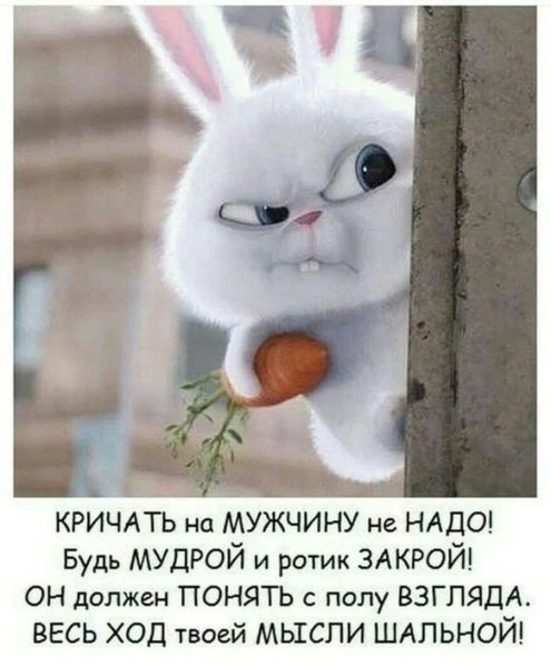 Тайная жизнь домашних животных кролик