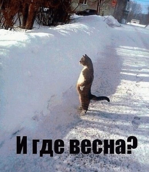 Весна ты где