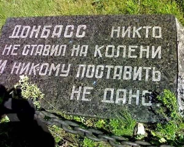 Футболка ДНР