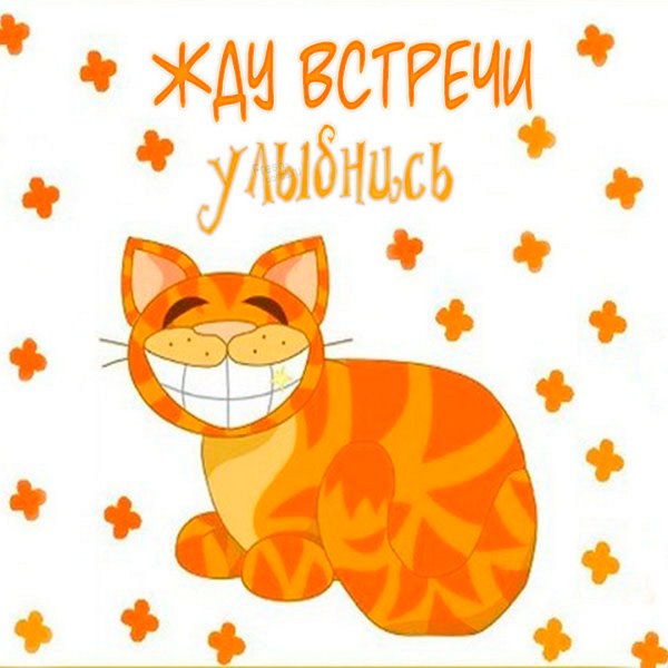 Открытка жду встречи с тобой прикольная