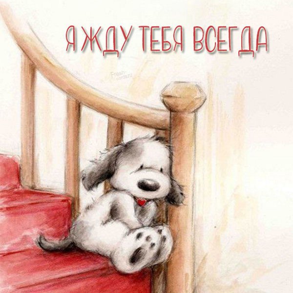 Открытка я жду тебя