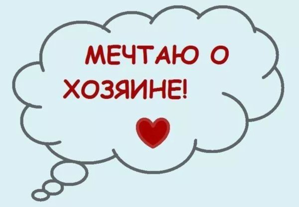 Столько дел столько дел в потолок плюнуть некогда