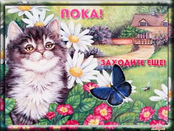 Высказывания про поезда