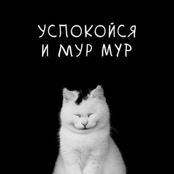 Мур Мур Мур