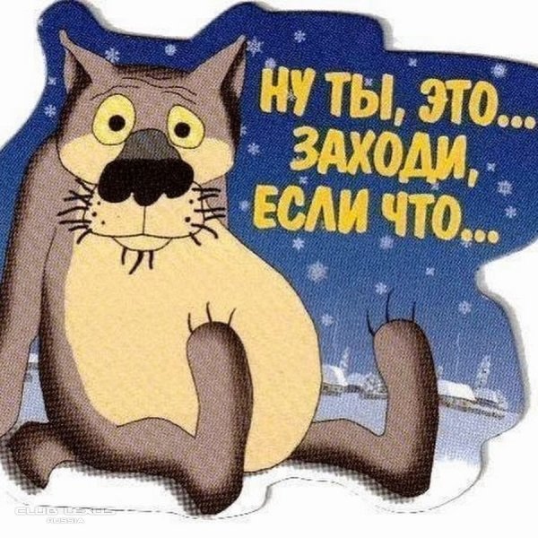 Смешные заставки на телефон с надписями