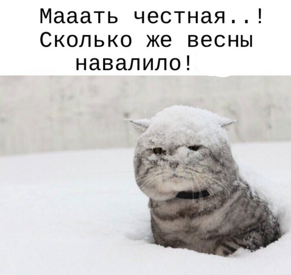 Весна ты где