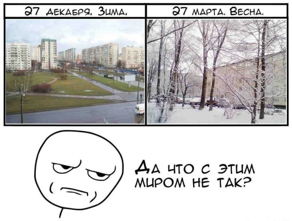 Зима в Питере шутки