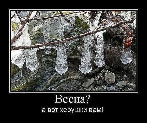 Приколы про весну