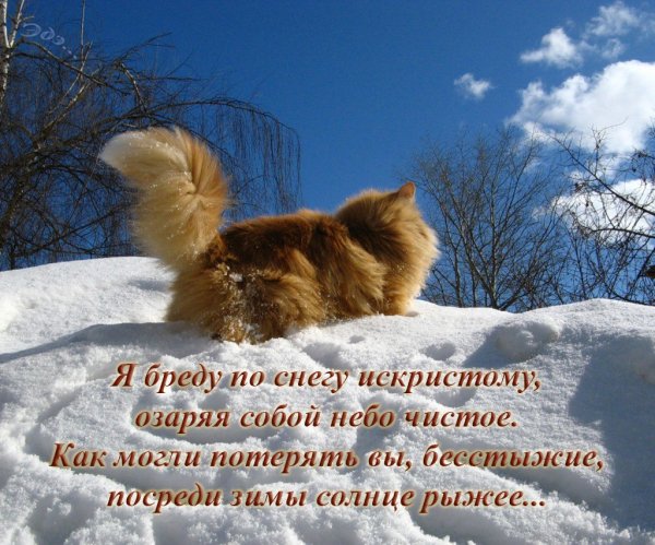 Чувствуется приближение весны